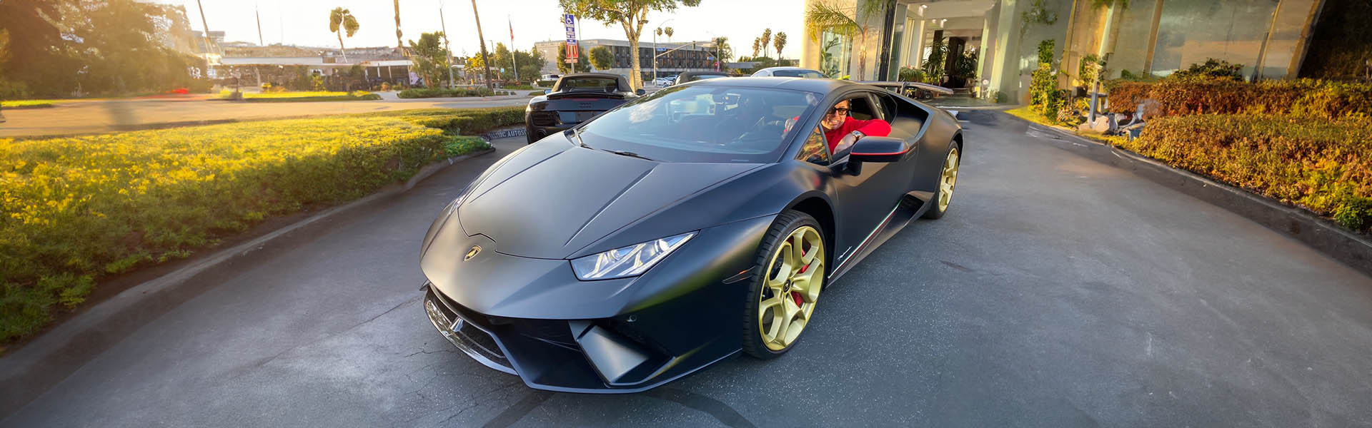 A matte black Lamborghini with gold wheels, capturing the exclusive and exotic car collection at Icon Servicing.